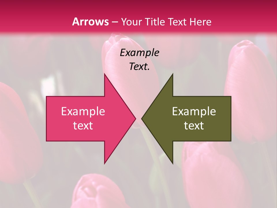April Natural Tulip PowerPoint Template