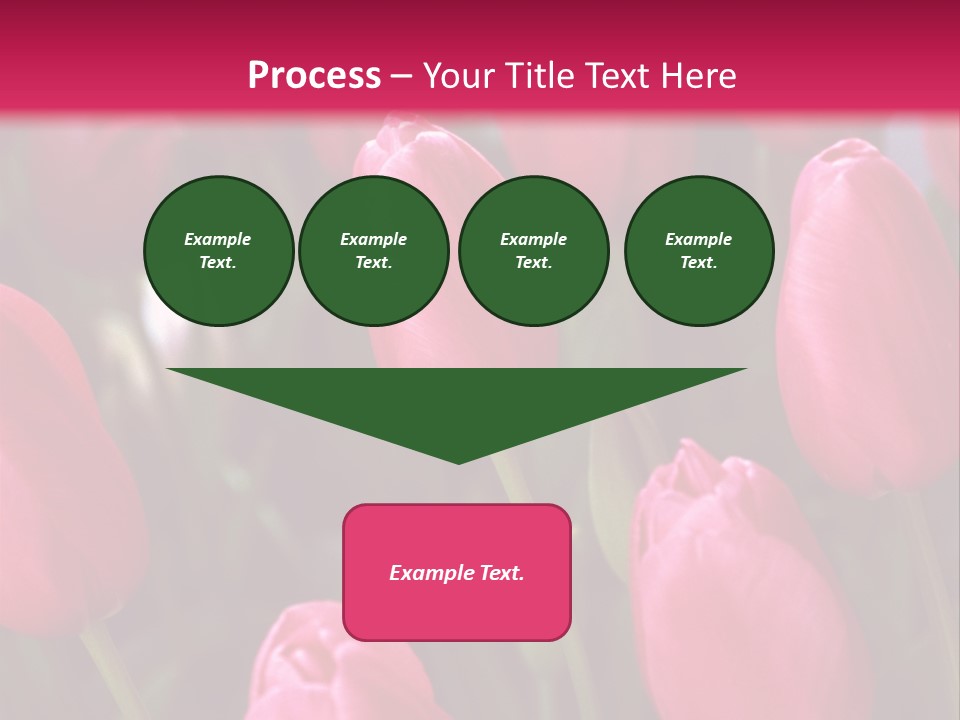 April Natural Tulip PowerPoint Template