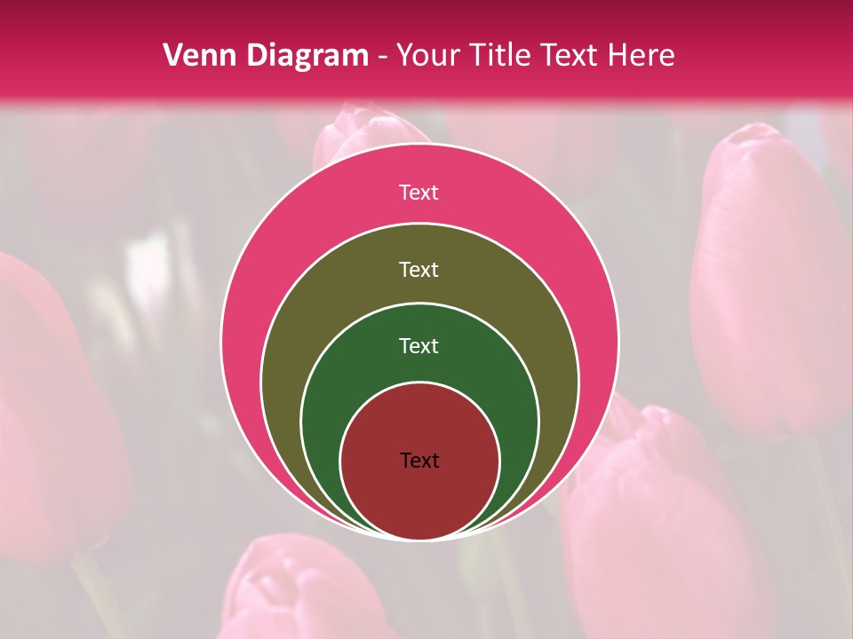 April Natural Tulip PowerPoint Template