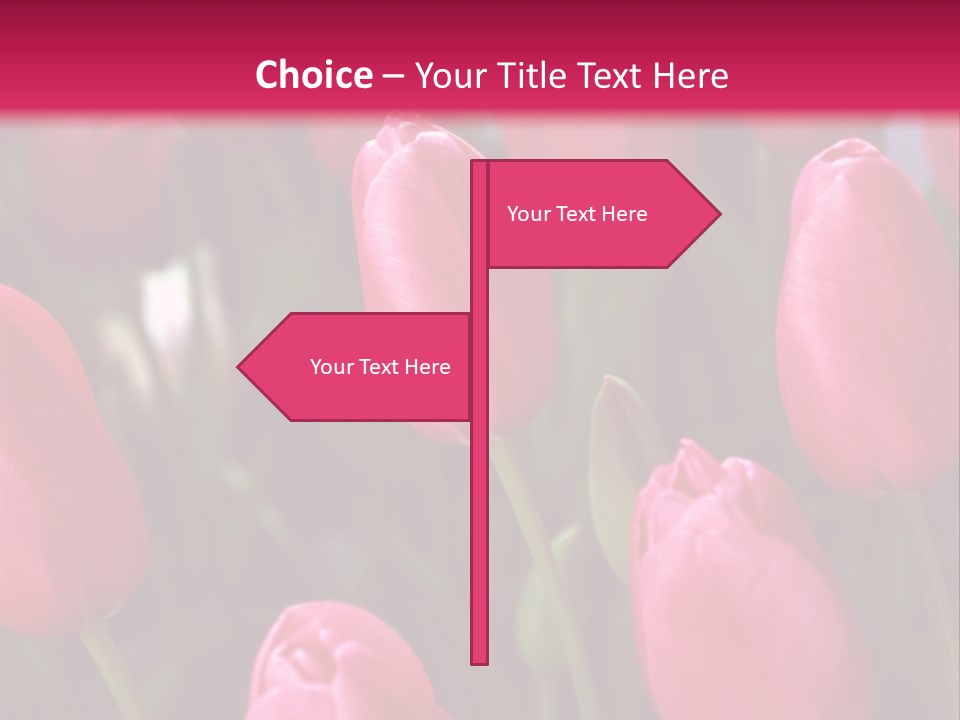 April Natural Tulip PowerPoint Template