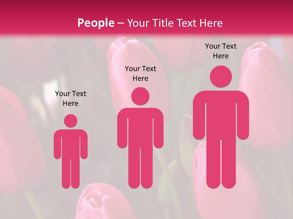 April Natural Tulip PowerPoint Template