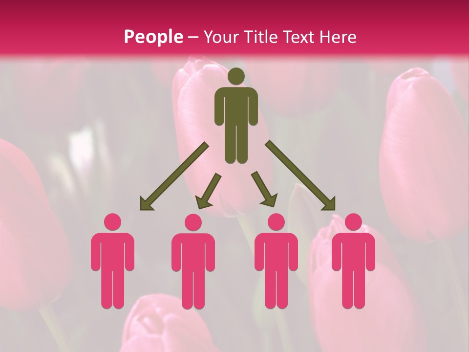 April Natural Tulip PowerPoint Template