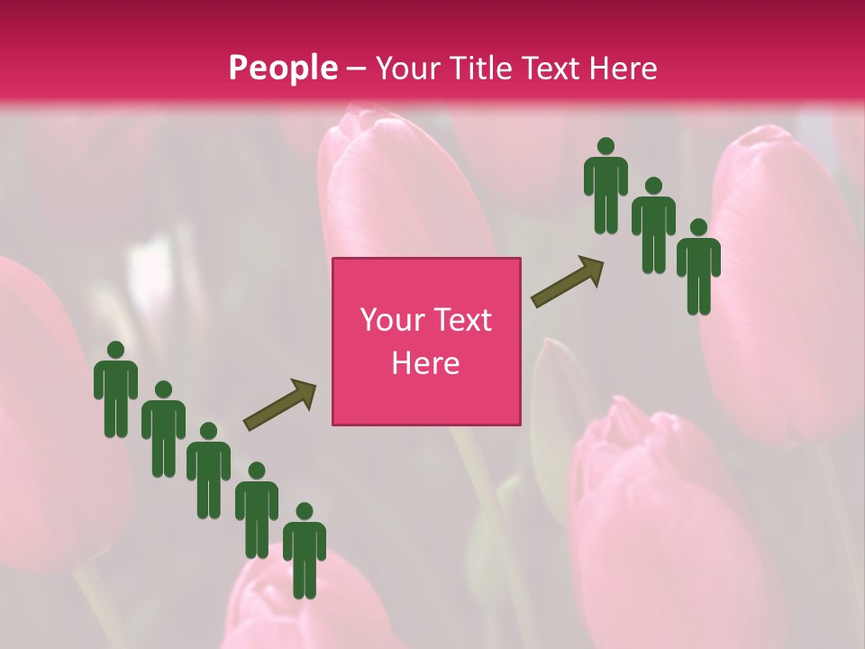 April Natural Tulip PowerPoint Template