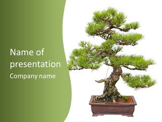 Grow Japanese Nature PowerPoint Template