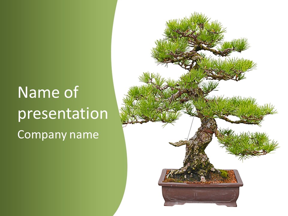 Grow Japanese Nature PowerPoint Template