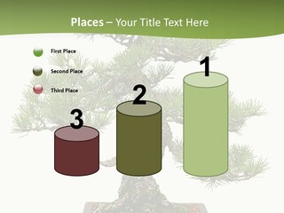 Grow Japanese Nature PowerPoint Template