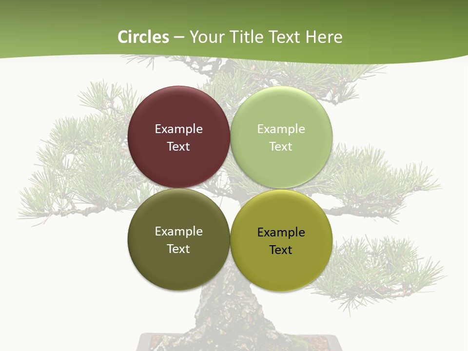 Grow Japanese Nature PowerPoint Template
