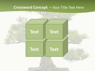 Grow Japanese Nature PowerPoint Template