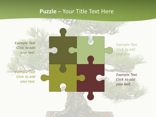 Grow Japanese Nature PowerPoint Template