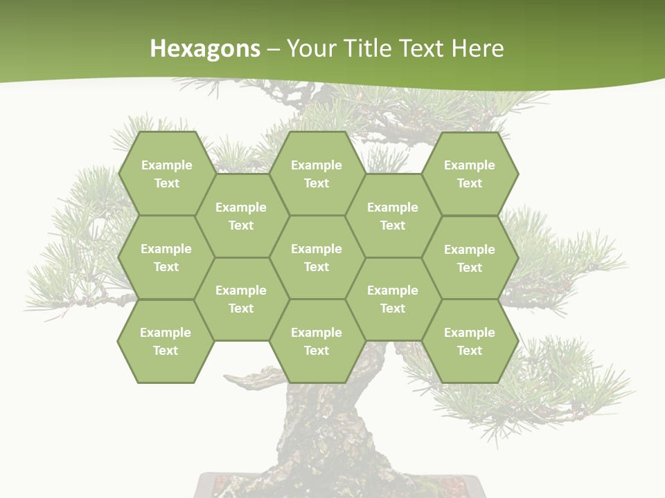 Grow Japanese Nature PowerPoint Template