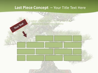 Grow Japanese Nature PowerPoint Template