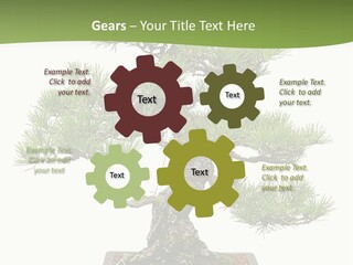 Grow Japanese Nature PowerPoint Template