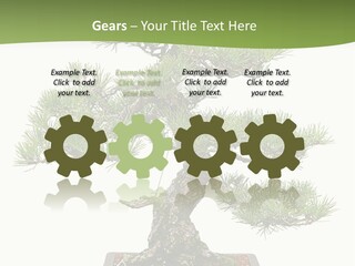 Grow Japanese Nature PowerPoint Template