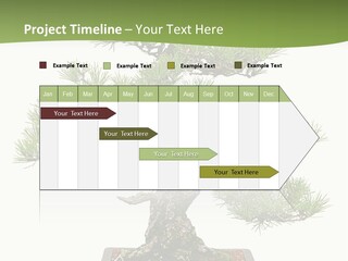 Grow Japanese Nature PowerPoint Template