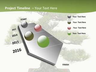 Grow Japanese Nature PowerPoint Template