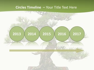 Grow Japanese Nature PowerPoint Template