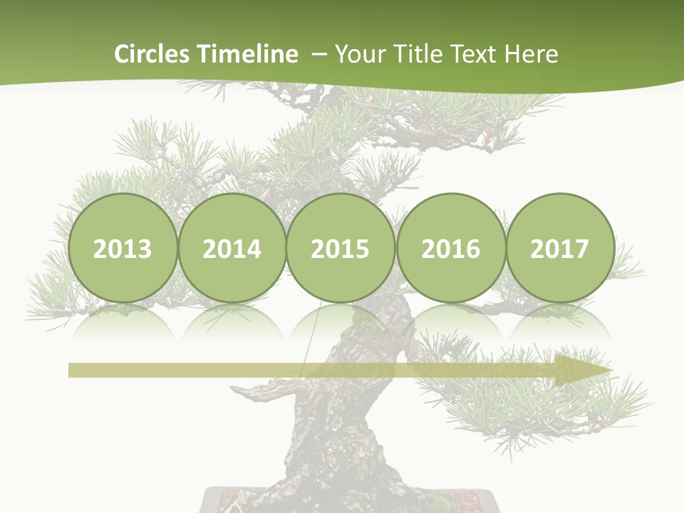 Grow Japanese Nature PowerPoint Template