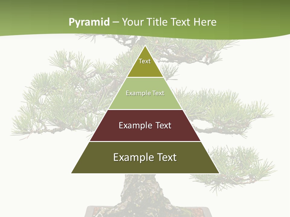 Grow Japanese Nature PowerPoint Template