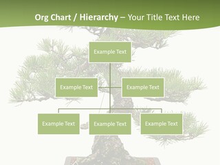 Grow Japanese Nature PowerPoint Template