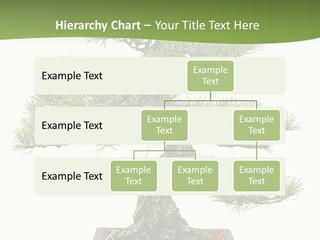 Grow Japanese Nature PowerPoint Template