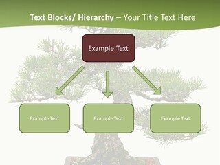 Grow Japanese Nature PowerPoint Template