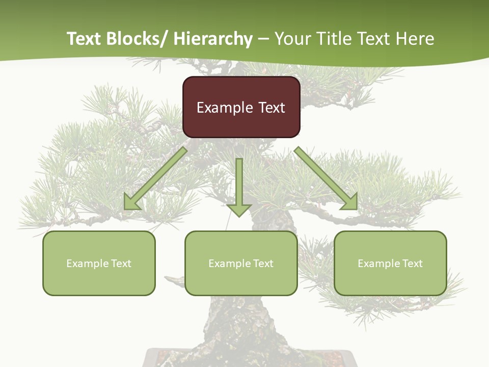 Grow Japanese Nature PowerPoint Template