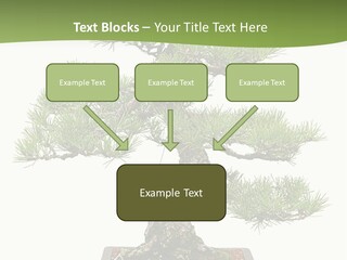 Grow Japanese Nature PowerPoint Template