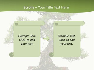 Grow Japanese Nature PowerPoint Template