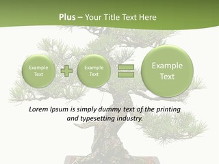 Grow Japanese Nature PowerPoint Template