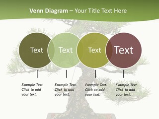 Grow Japanese Nature PowerPoint Template