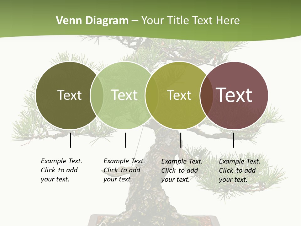Grow Japanese Nature PowerPoint Template