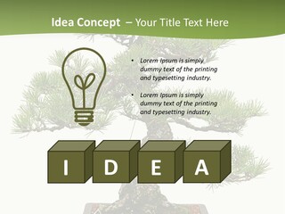 Grow Japanese Nature PowerPoint Template