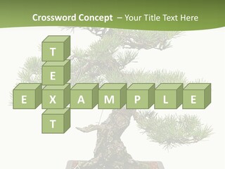 Grow Japanese Nature PowerPoint Template