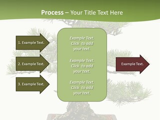 Grow Japanese Nature PowerPoint Template
