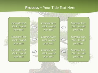 Grow Japanese Nature PowerPoint Template