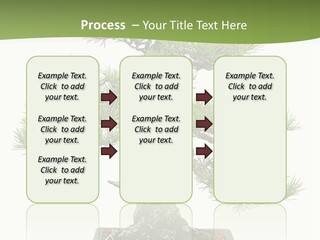 Grow Japanese Nature PowerPoint Template