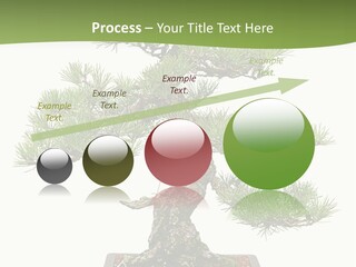 Grow Japanese Nature PowerPoint Template
