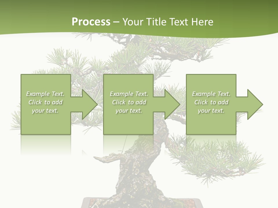 Grow Japanese Nature PowerPoint Template