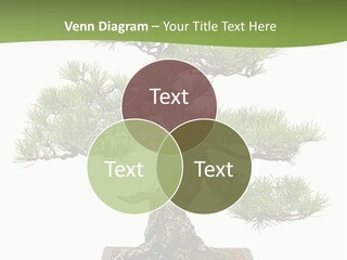 Grow Japanese Nature PowerPoint Template