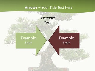 Grow Japanese Nature PowerPoint Template