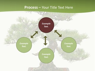Grow Japanese Nature PowerPoint Template