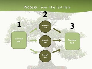 Grow Japanese Nature PowerPoint Template
