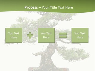Grow Japanese Nature PowerPoint Template