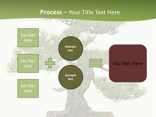Grow Japanese Nature PowerPoint Template