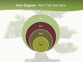 Grow Japanese Nature PowerPoint Template