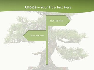 Grow Japanese Nature PowerPoint Template