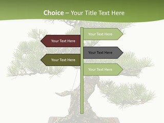 Grow Japanese Nature PowerPoint Template