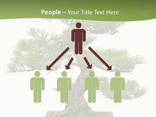 Grow Japanese Nature PowerPoint Template