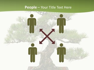 Grow Japanese Nature PowerPoint Template