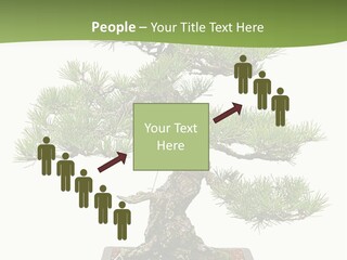 Grow Japanese Nature PowerPoint Template